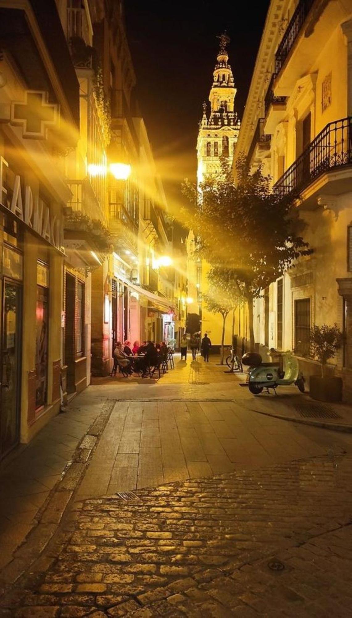 세비야 ¡En Frente De La Giralda-Catedral! 아파트 외부 사진